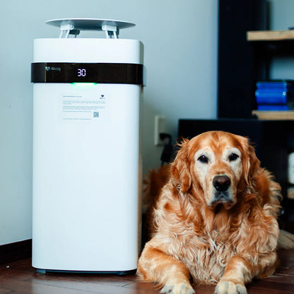 Paws-itively Fresh: The Airdog Air Cleaner for Furry Air Mess Makers!