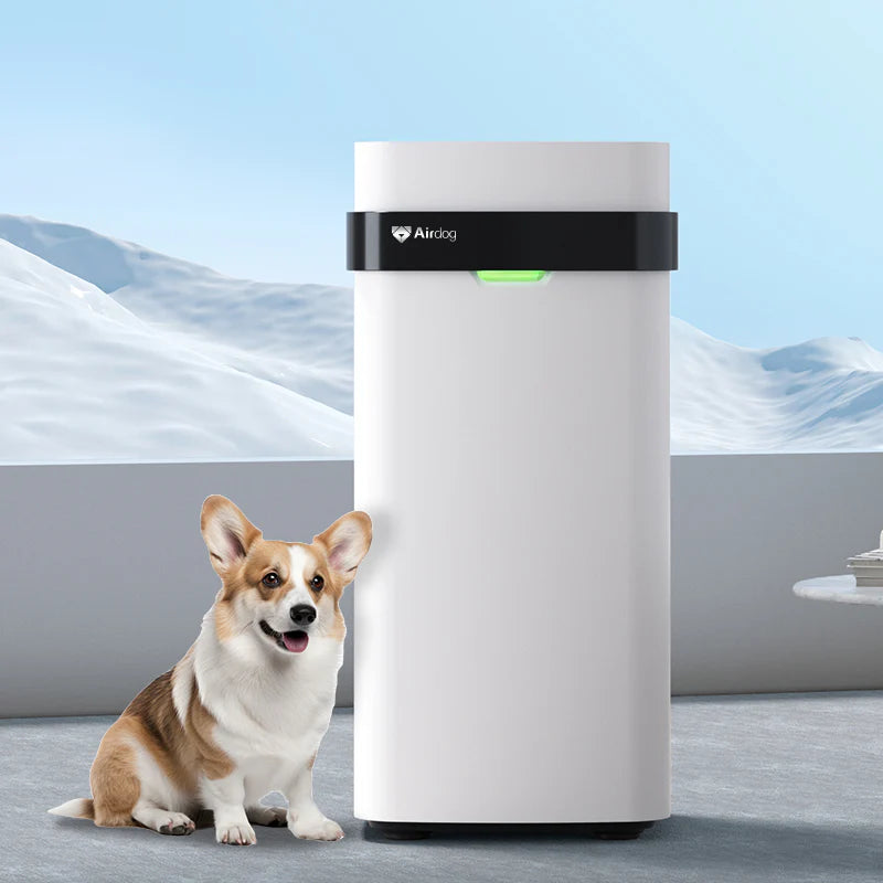 Paws-itively Fresh: The Airdog Air Cleaner for Furry Air Mess Makers!