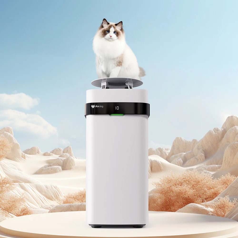 Paws-itively Fresh: The Airdog Air Cleaner for Furry Air Mess Makers!
